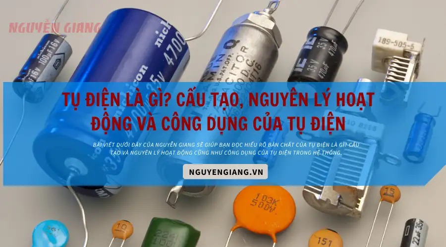 Các hình thức đoàn tụ phổ biến hiện nay là gì