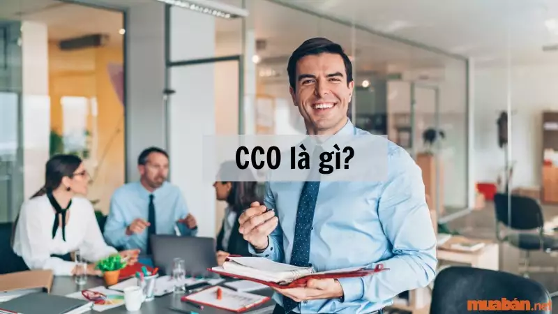 cco la gi 9