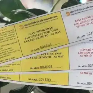 Bảo Hiểm Xe Máy bắt buộc TNDS của chủ xe cơ giới